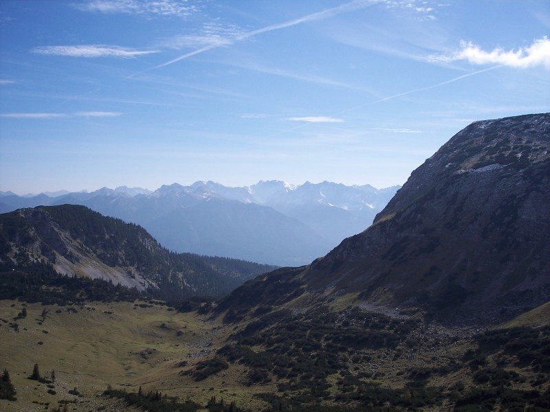Fernblick