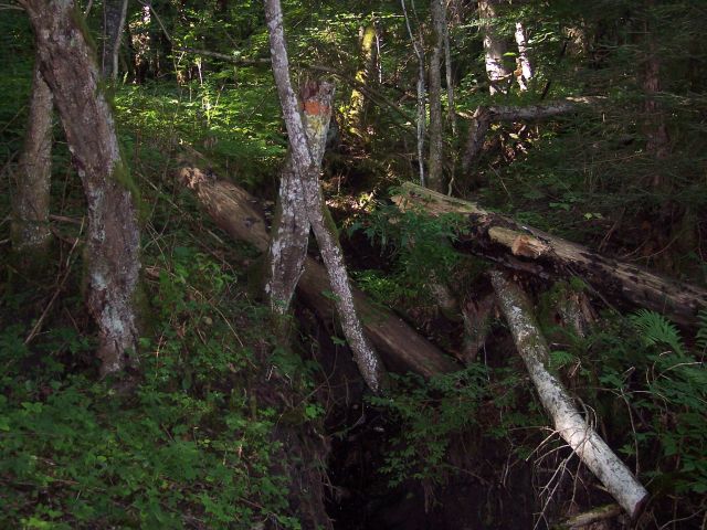 Natur