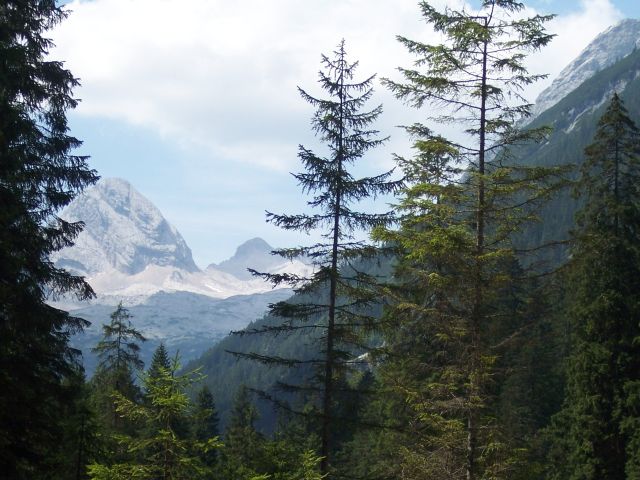 Gletscherblick