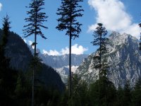 H&ouml;llentalferner